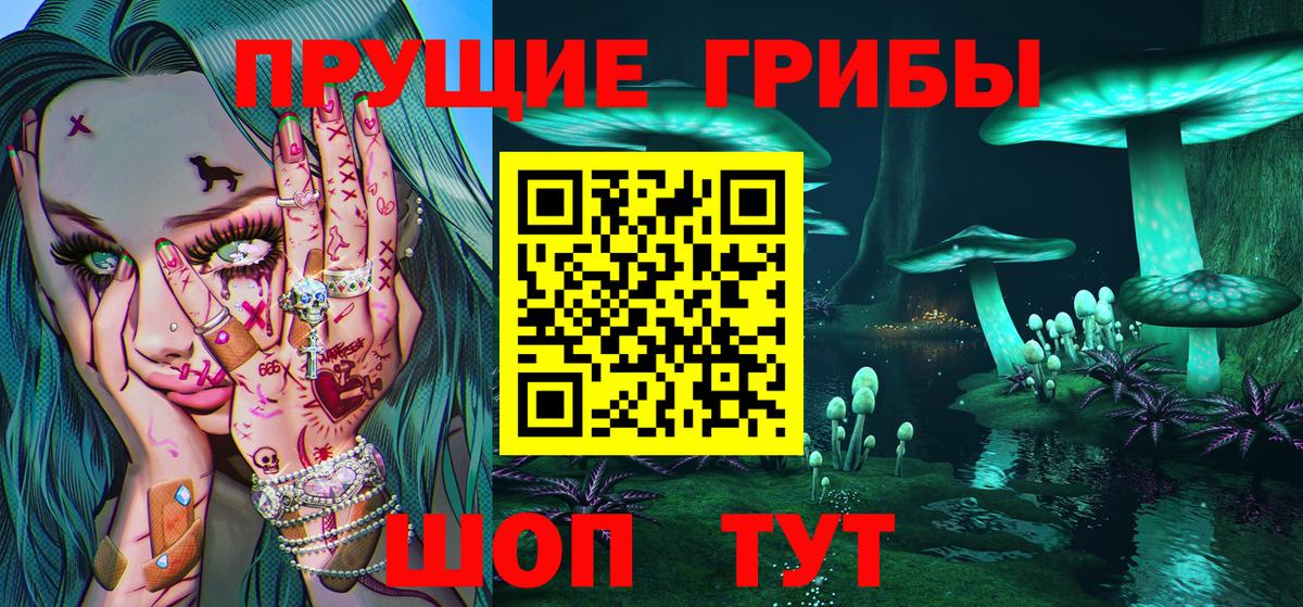 где можно купить наркотик  Галлюциногенные грибы прущие грибы  Вход с VPN  Белово  Псилоцибиновые грибы GOLDEN TEACHER 